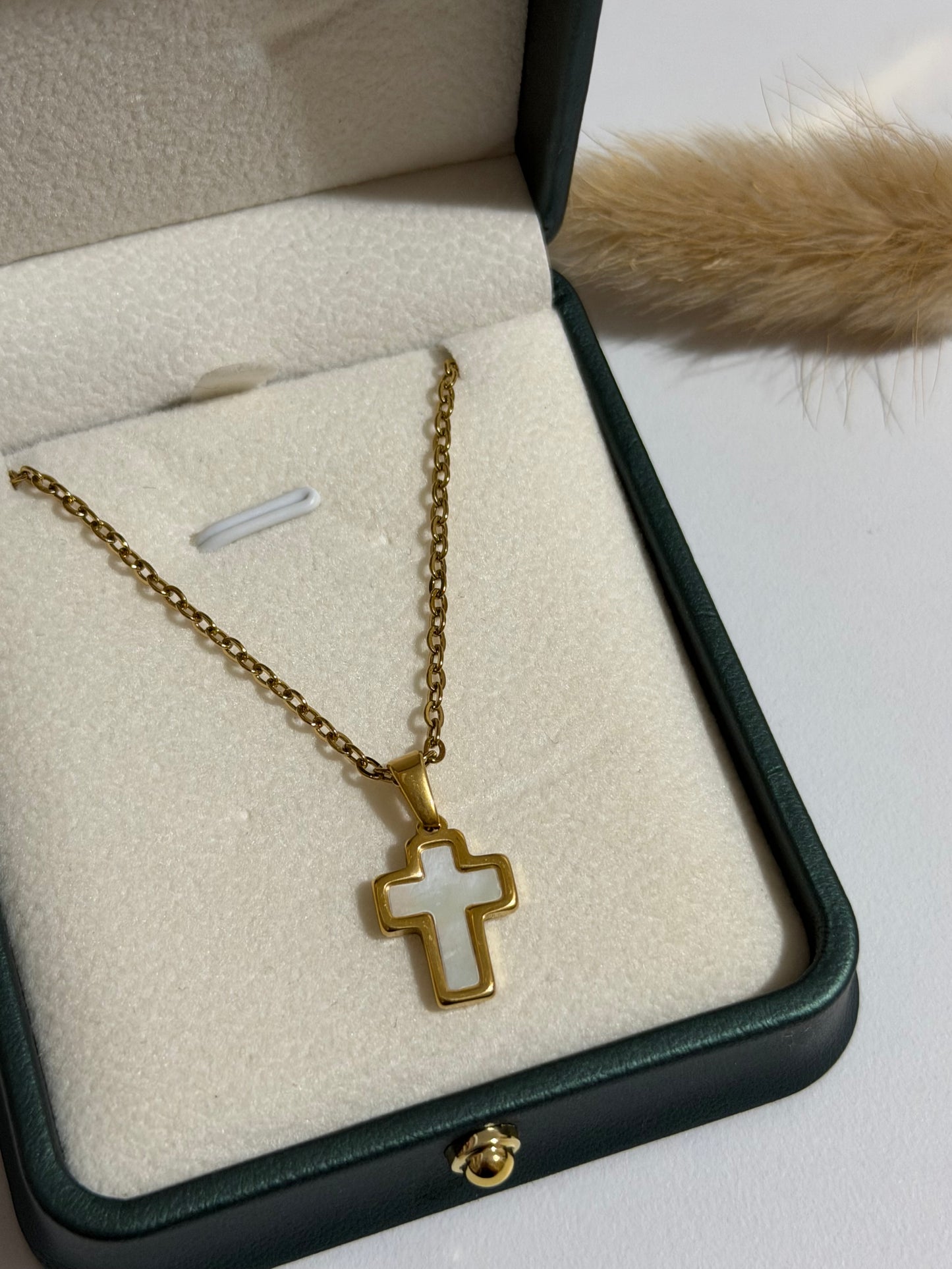 Cruz White